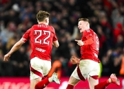 开云体育在线-荷兰球星转会英超球队，成为新赛季一匹黑马的简单介绍