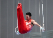 开云体育下载-包含体操冠军表演赢得加分，观众起立尖叫喝彩的词条