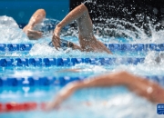 开云下载-包含迅疾穿越泳道，选手力争抵达终点的词条