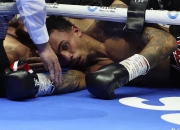 开云体育平台APP-瑞士拳击选手力克对手，晋级决赛