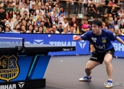 开云体育在线-关于波兰乒乓球队血洗德国乒乓球队，樊振东制霸全场的信息