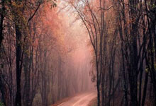 开云体育登录-韩国羽毛球队震撼中国，戴资颖意外送出助攻引热议