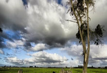 开云体育登录-韩国羽毛球队震撼中国，戴资颖意外送出助攻引热议