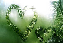 开云下载-德国乒乓球队惊天逆转中国队，许昕打破历史纪录，引发世纪变局