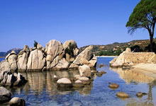 开云下载-美国网球队力克德国网球队，兹维列夫爆发神勇——一场精彩纷呈的硬地对决