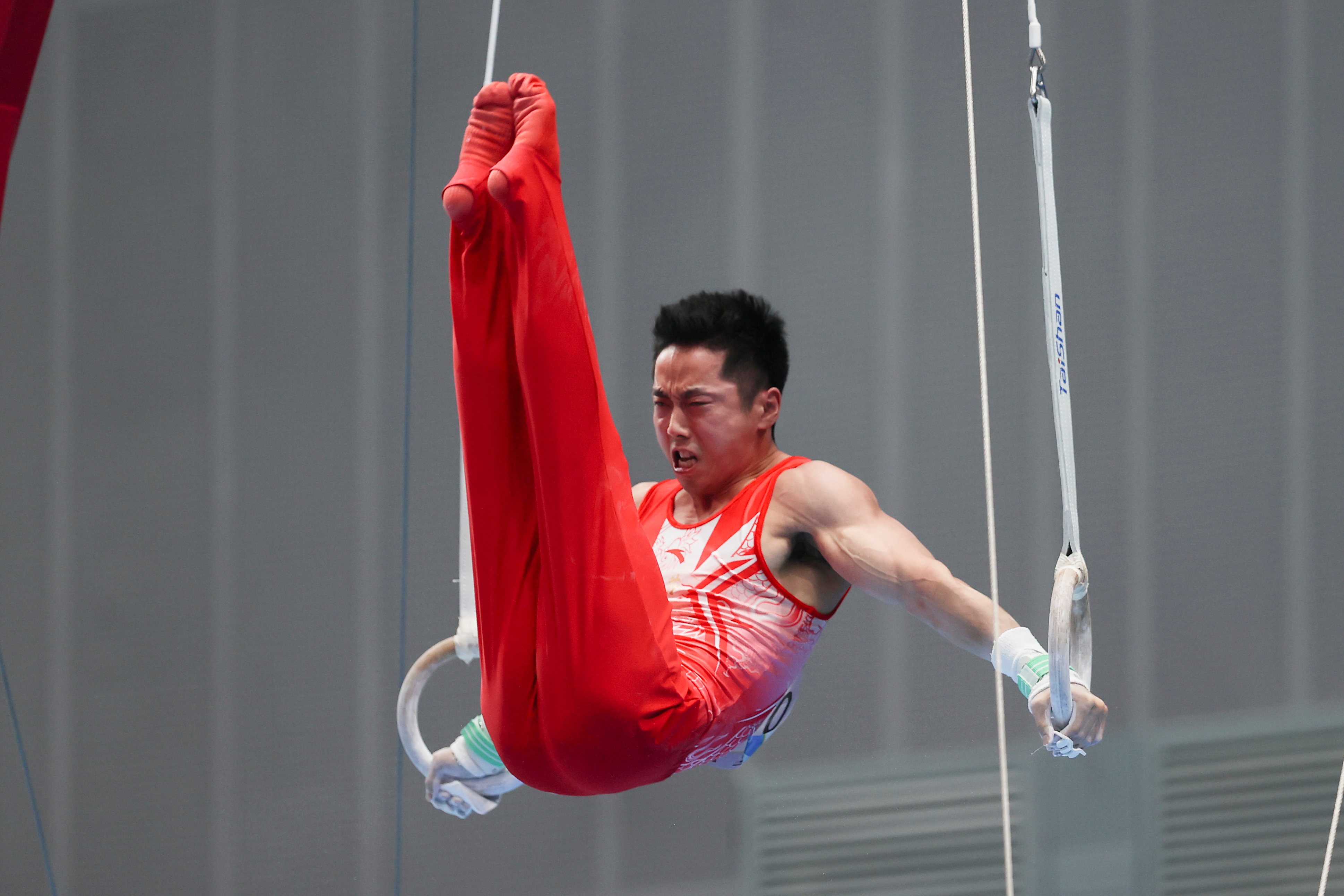 包含体操冠军表演赢得加分，观众起立尖叫喝彩的词条