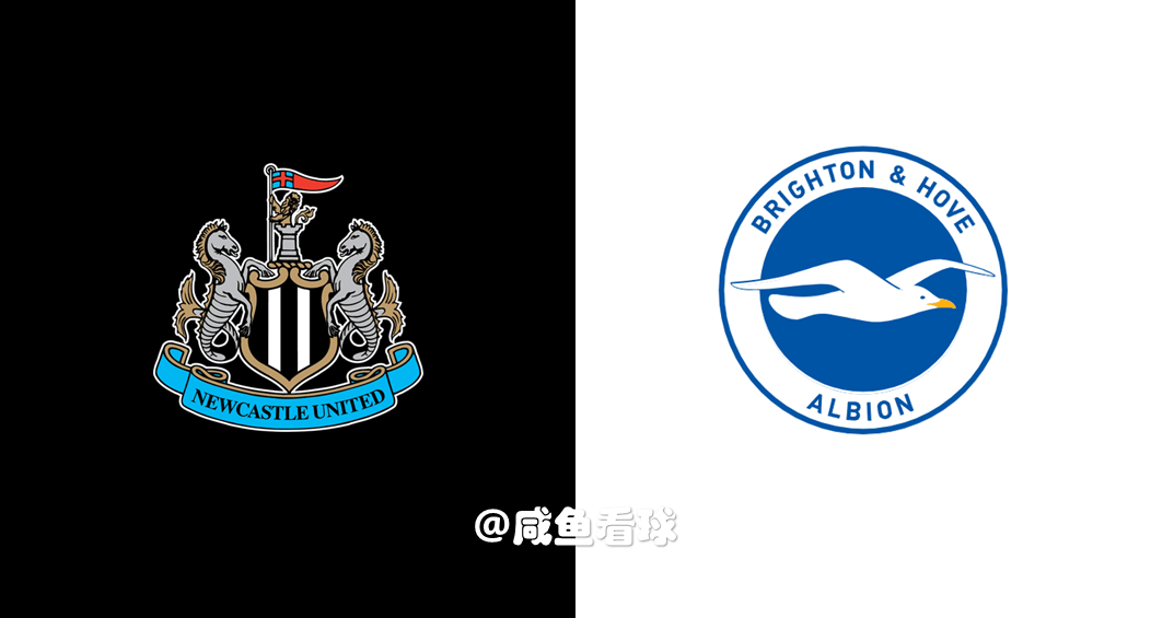 纽卡斯尔联队主场击败布莱顿队,鹰队成功力挫强敌的简单介绍 纽卡斯尔联队主场击败布莱顿队,鹰队成功力挫强敌的简单介绍