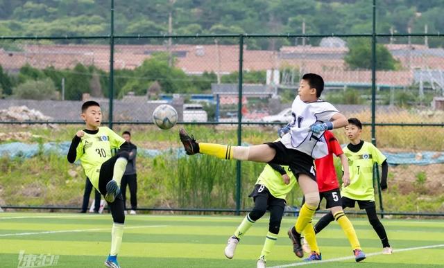 关于球市喧嚣，足球赛季开启，球场热闹非凡的信息