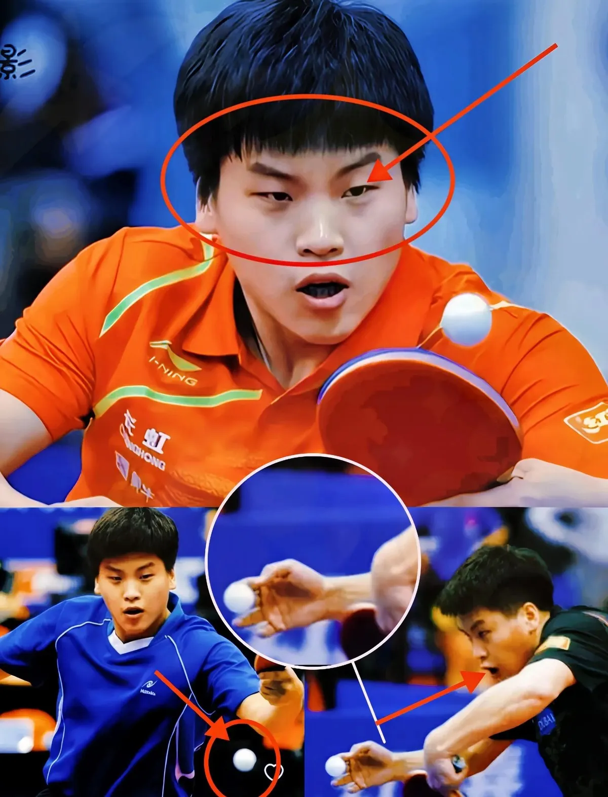 奥地利乒乓球队力克英国乒乓球队，张继科爆发神勇的简单介绍